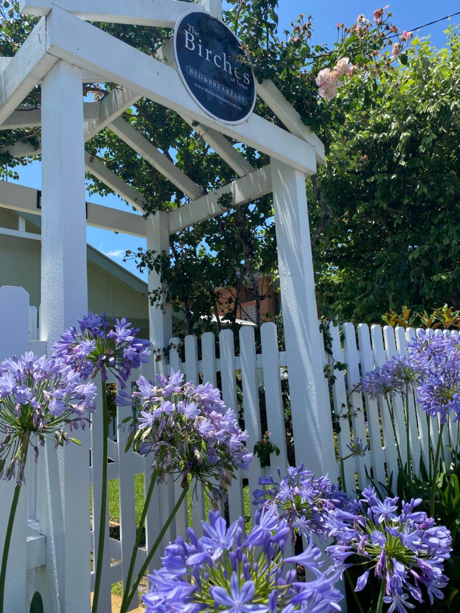 Birches B&B Taree Extérieur photo