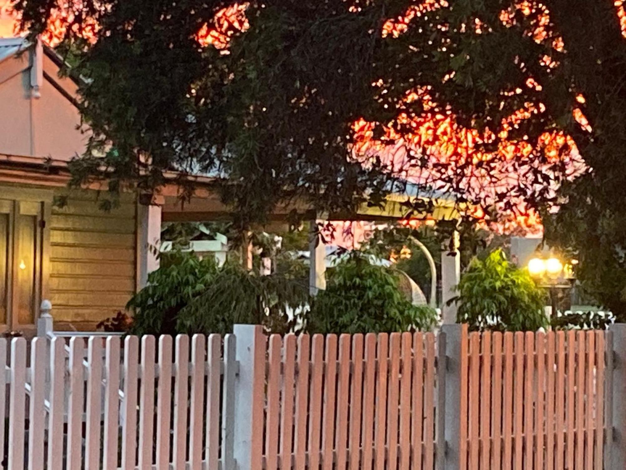 Birches B&B Taree Extérieur photo