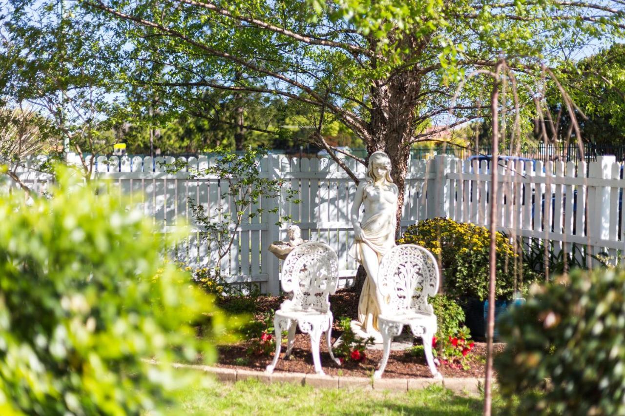 Birches B&B Taree Extérieur photo